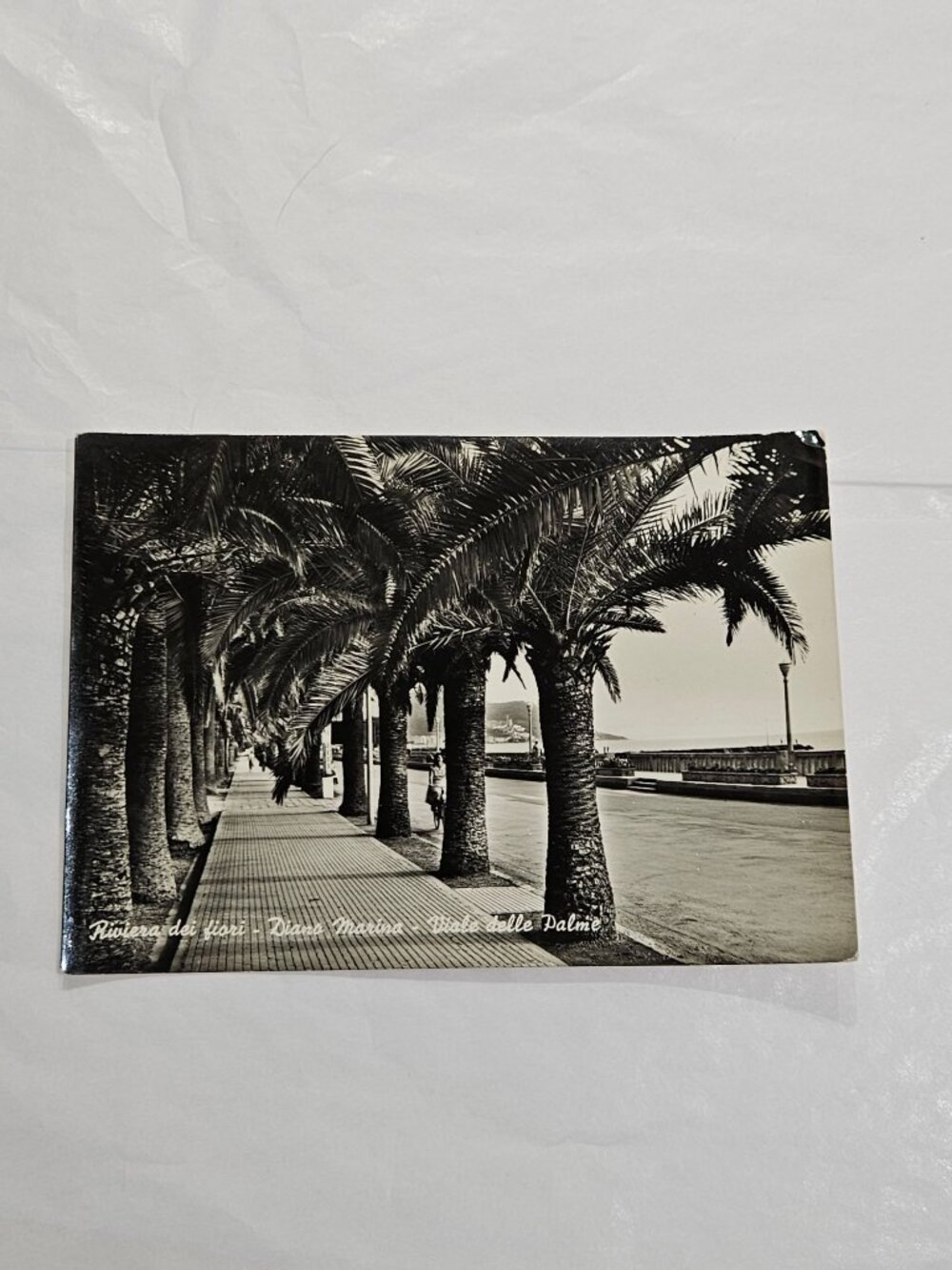 Diano Marina in Italy Postcard